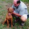 Red Nose Female Pit Bull